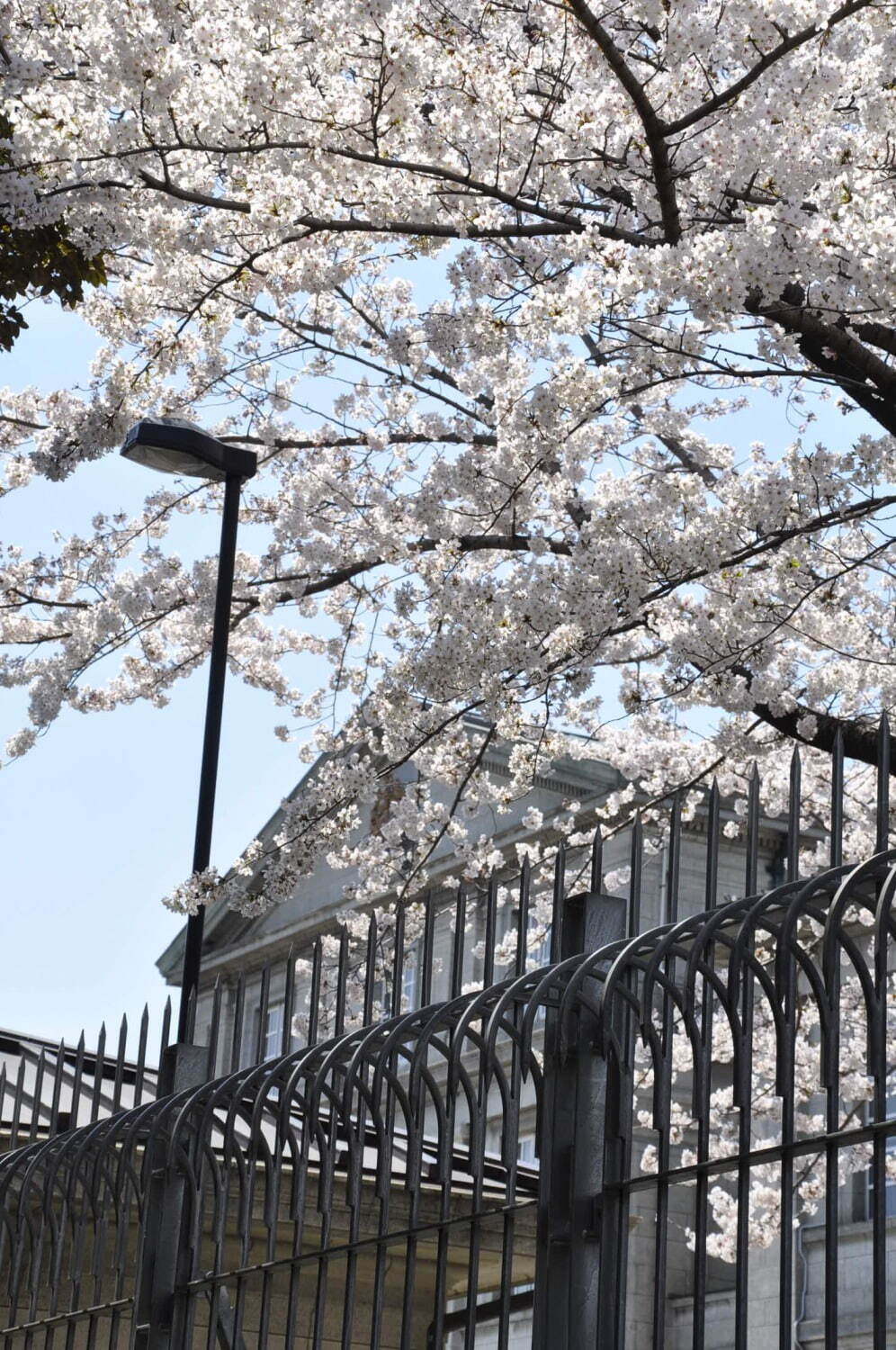 駐日英国大使館 - 写真2