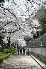 駐日英国大使館 画像1枚目