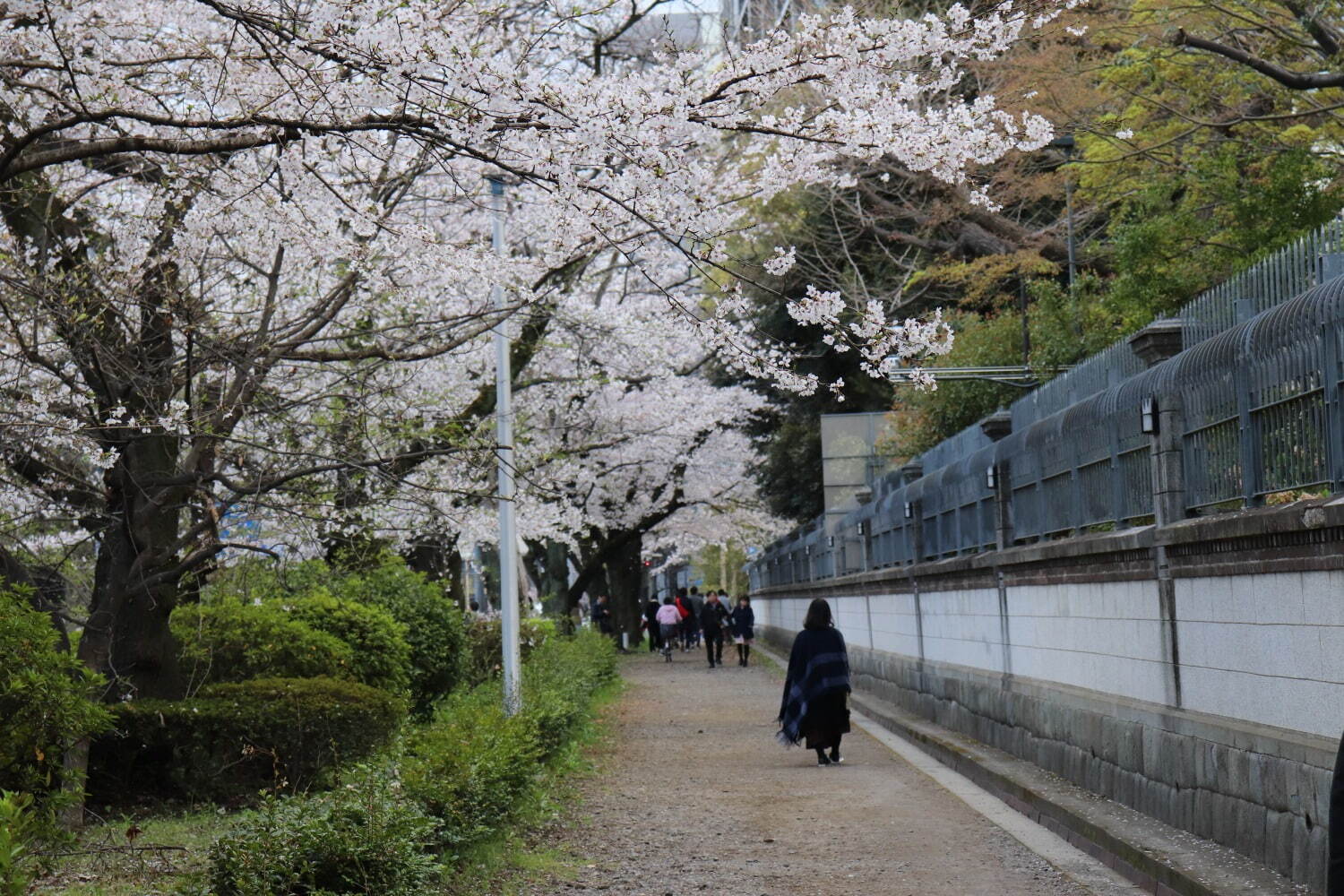 駐日英国大使館 - 写真3