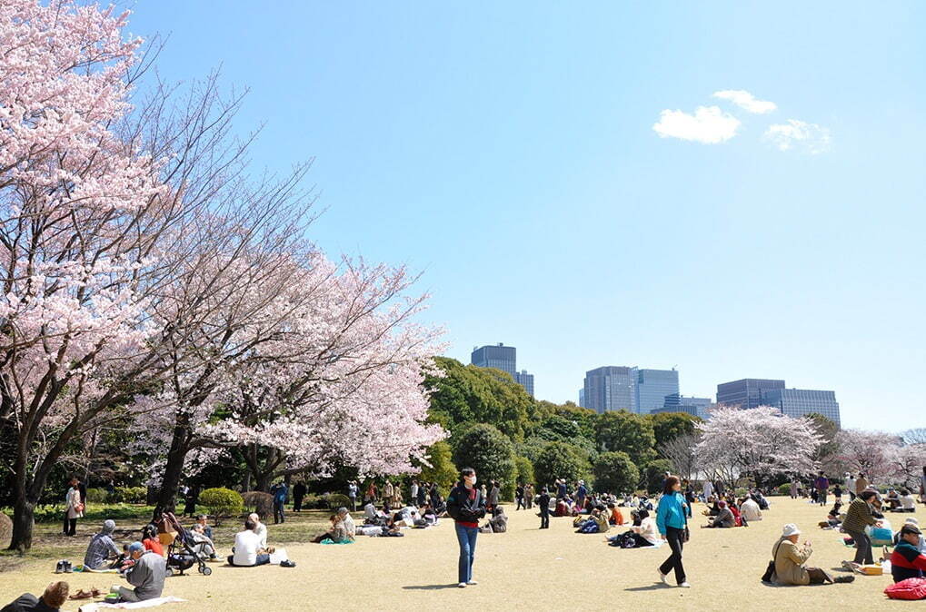 皇居東御苑 - 写真2