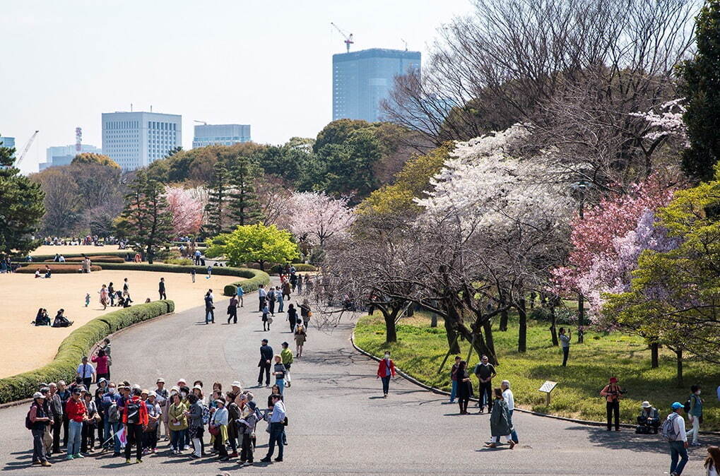 皇居東御苑 - 写真3