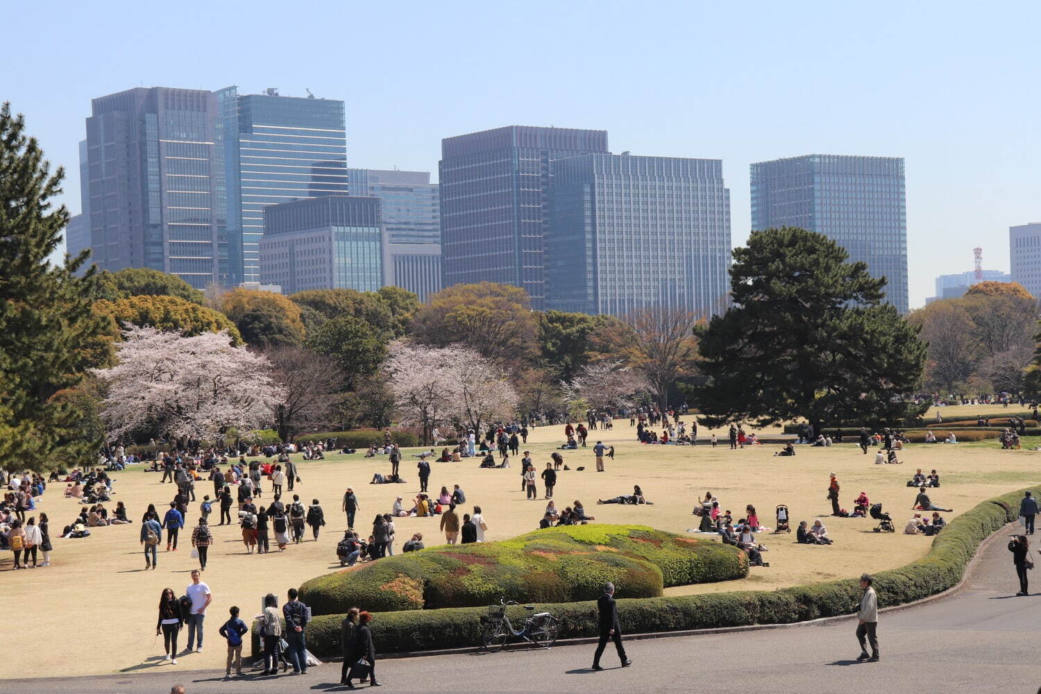 皇居東御苑 - 写真4