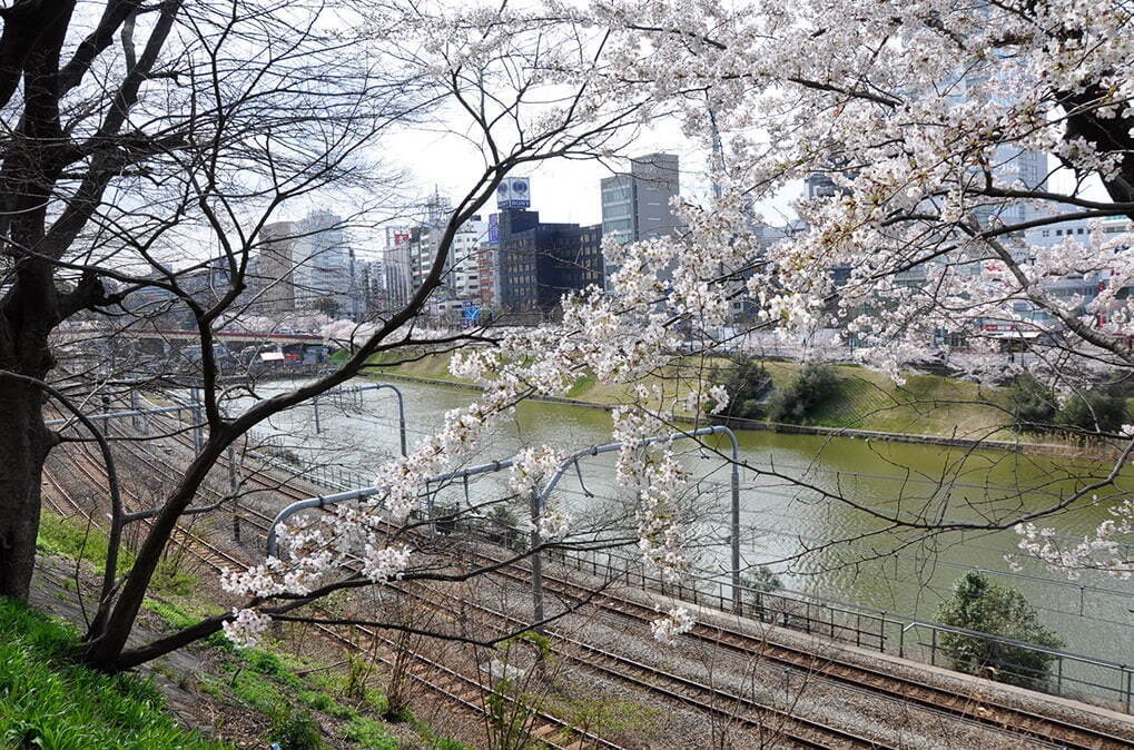 外濠公園 画像1枚目