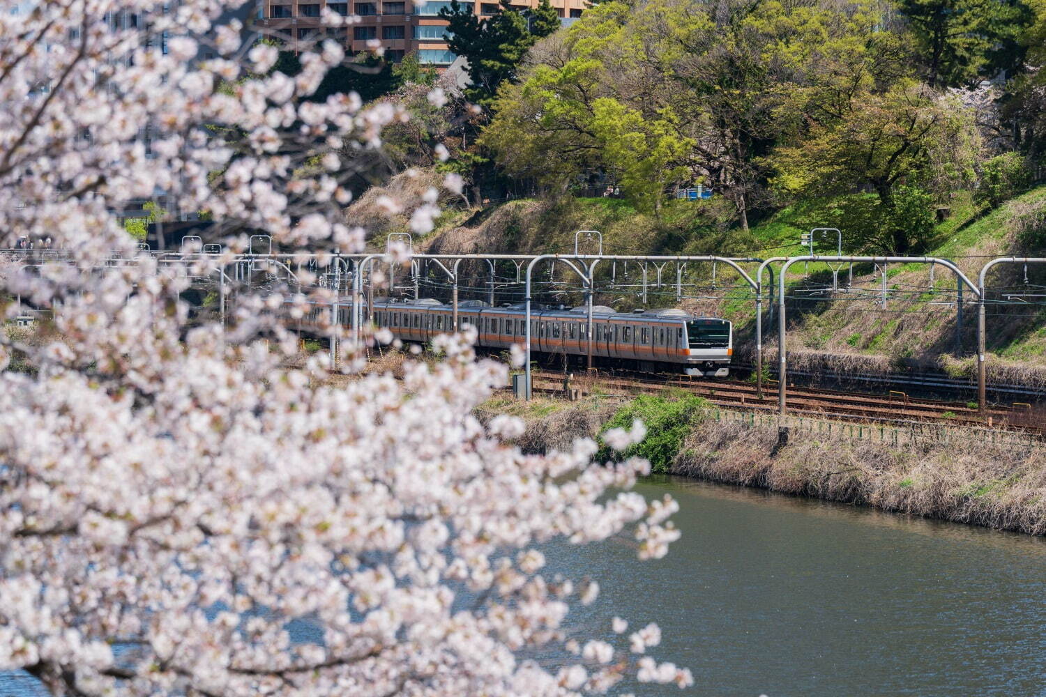 外濠公園 - 写真5