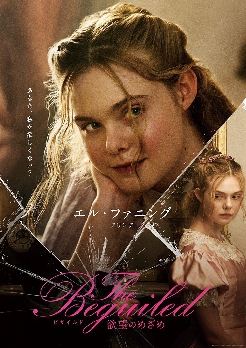 ソフィア・コッポラ監督にインタビュー、映画『The Beguiled