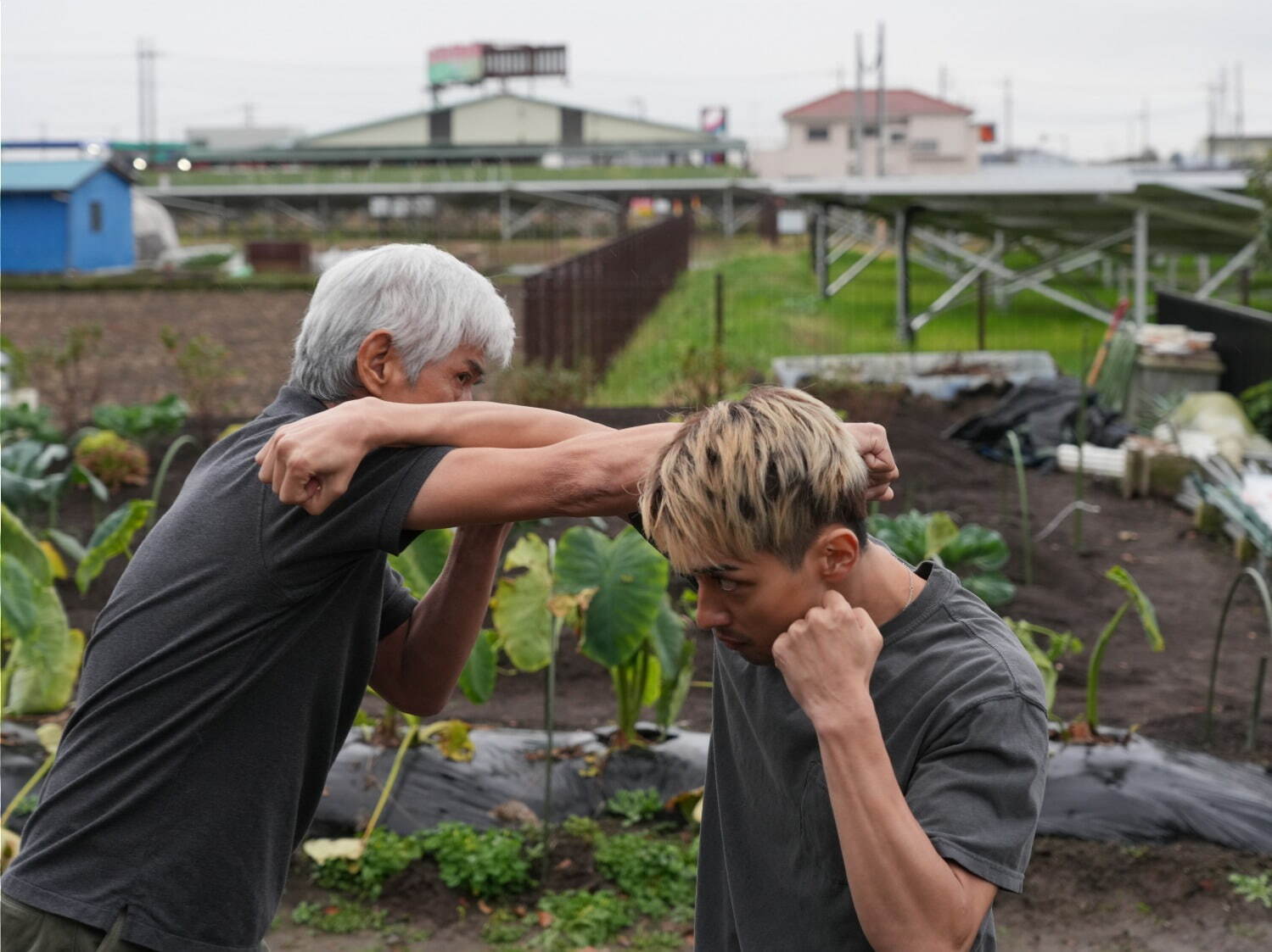 春に散る - 写真3