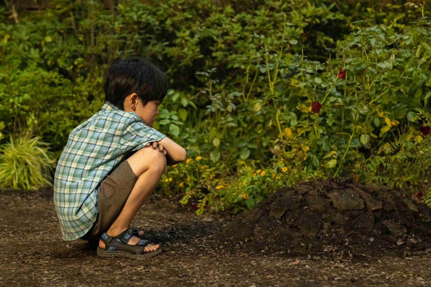 禁じられた遊び ( 2023 ) - 写真10