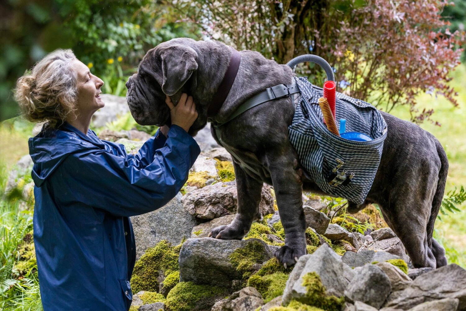 ルー、パリで生まれた猫 - 写真9