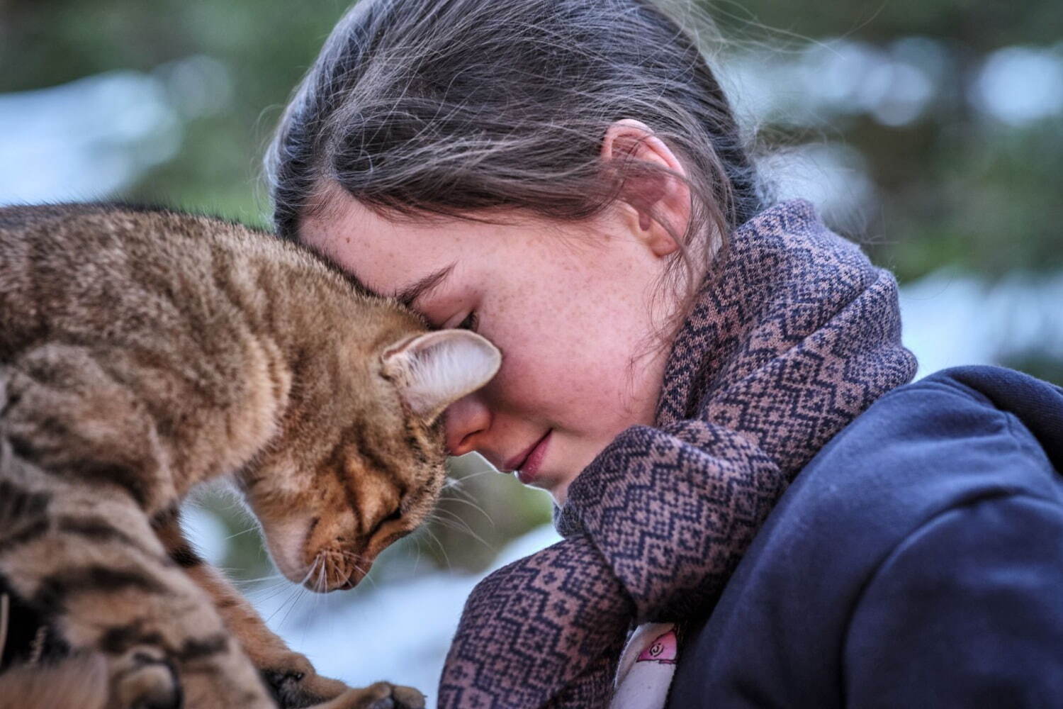 ルー、パリで生まれた猫 - 写真8