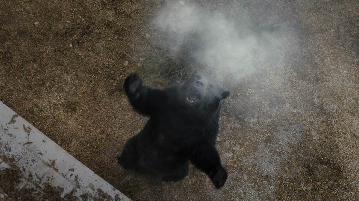 コカイン・ベア - 写真23