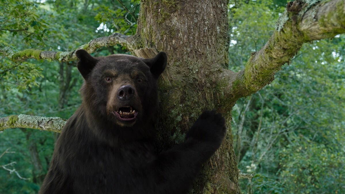 コカイン・ベア - 写真21