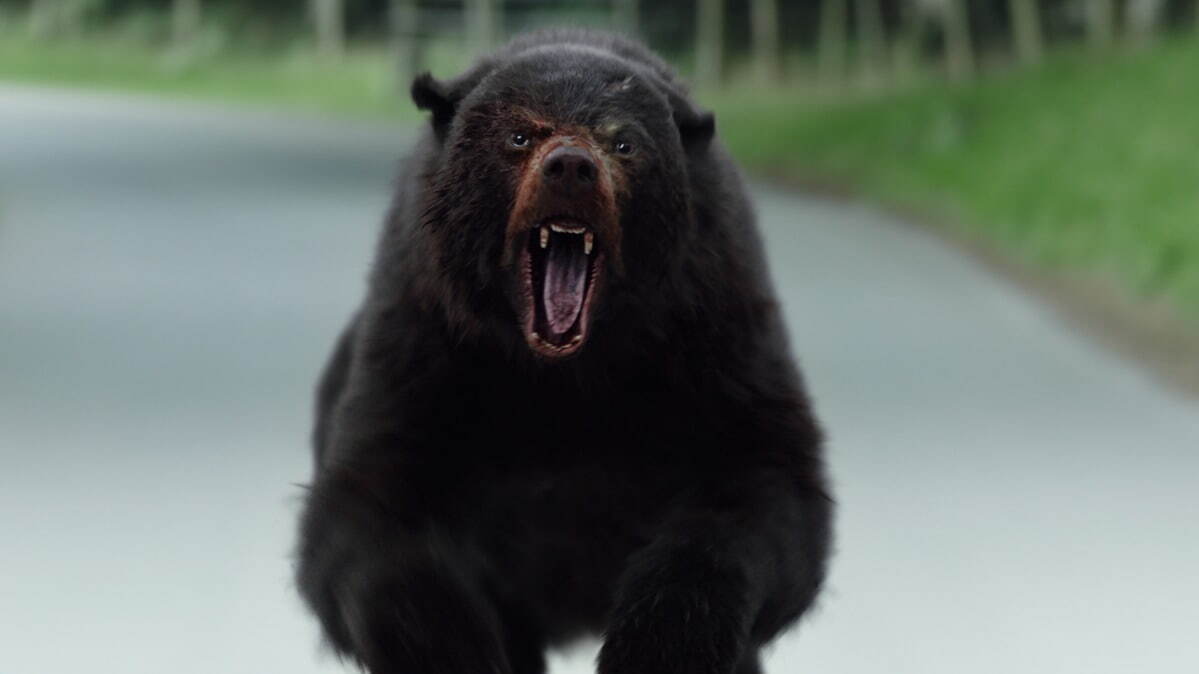 映画『コカイン・ベア』コカインを食べてしまったクマが森で大暴れ