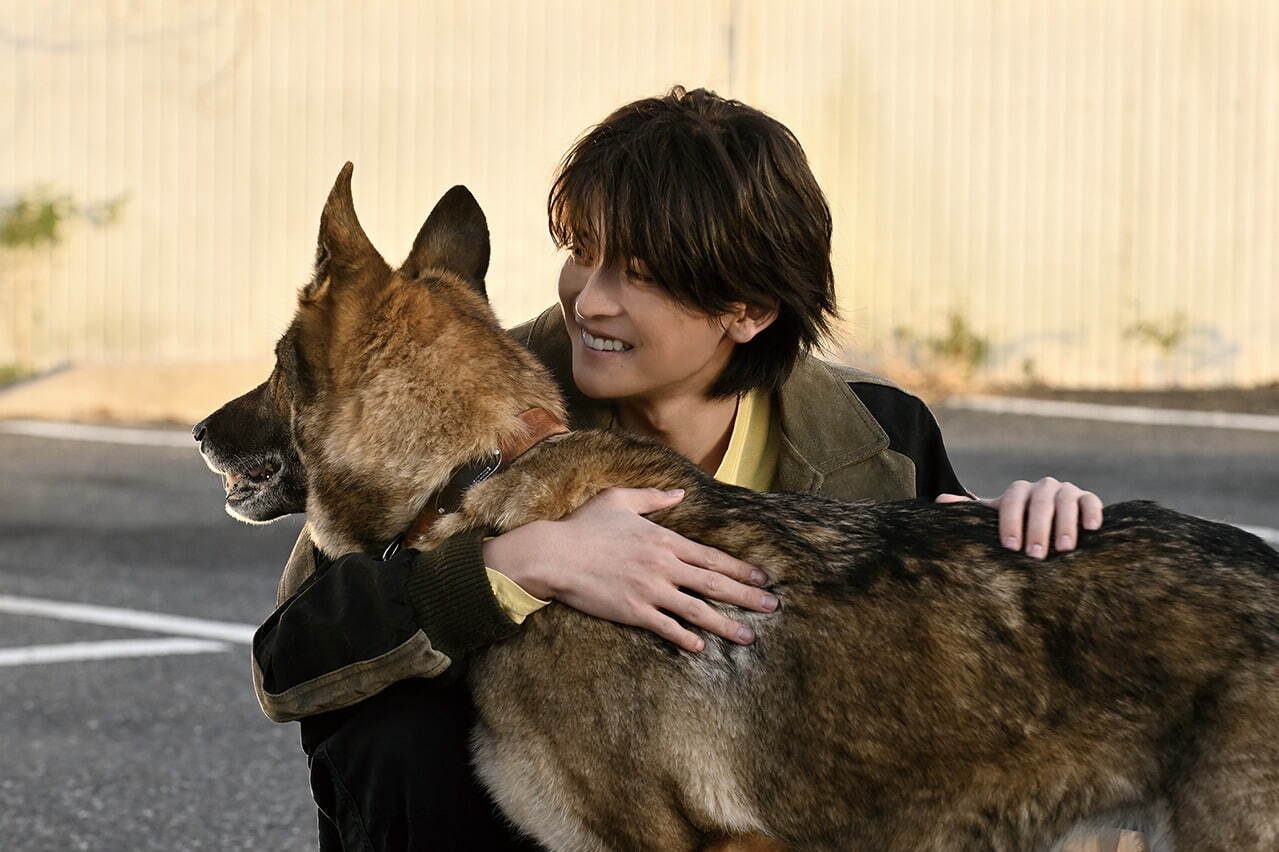 少年と犬 - 写真3