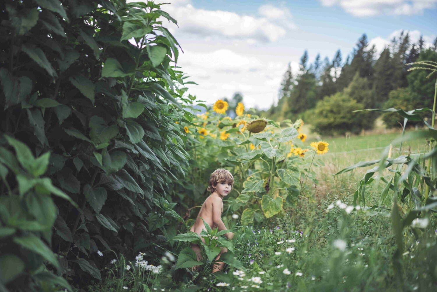 ただ、愛を選ぶこと - 写真9