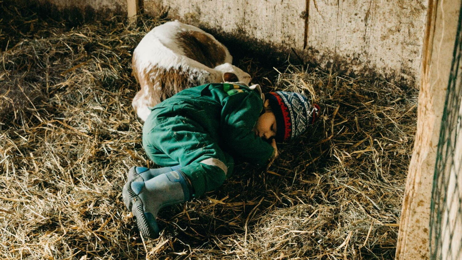 ただ、愛を選ぶこと - 写真5