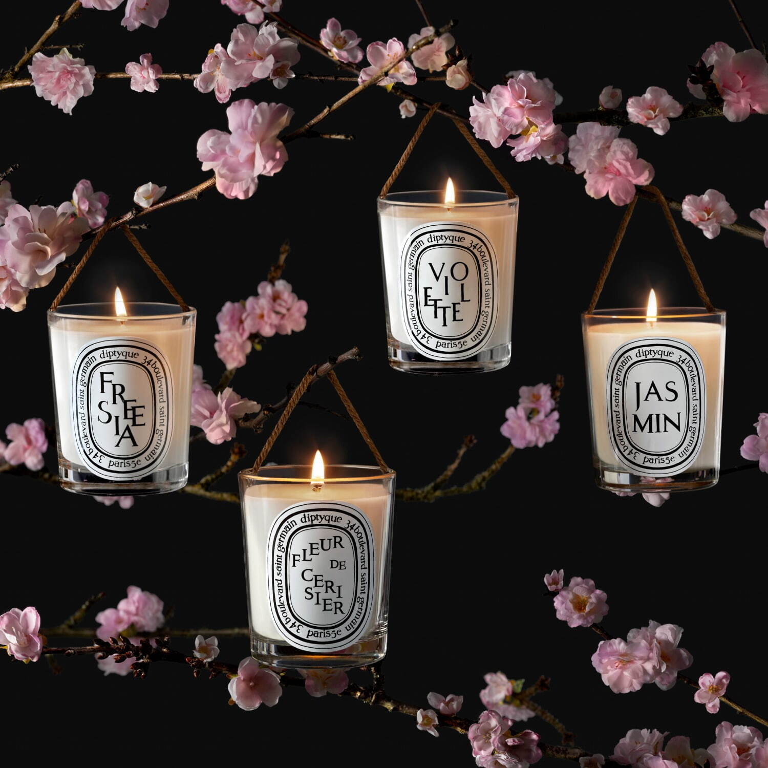 ディプティック“夜桜の香り”春限定フレグランスキャンドル、ローズ
