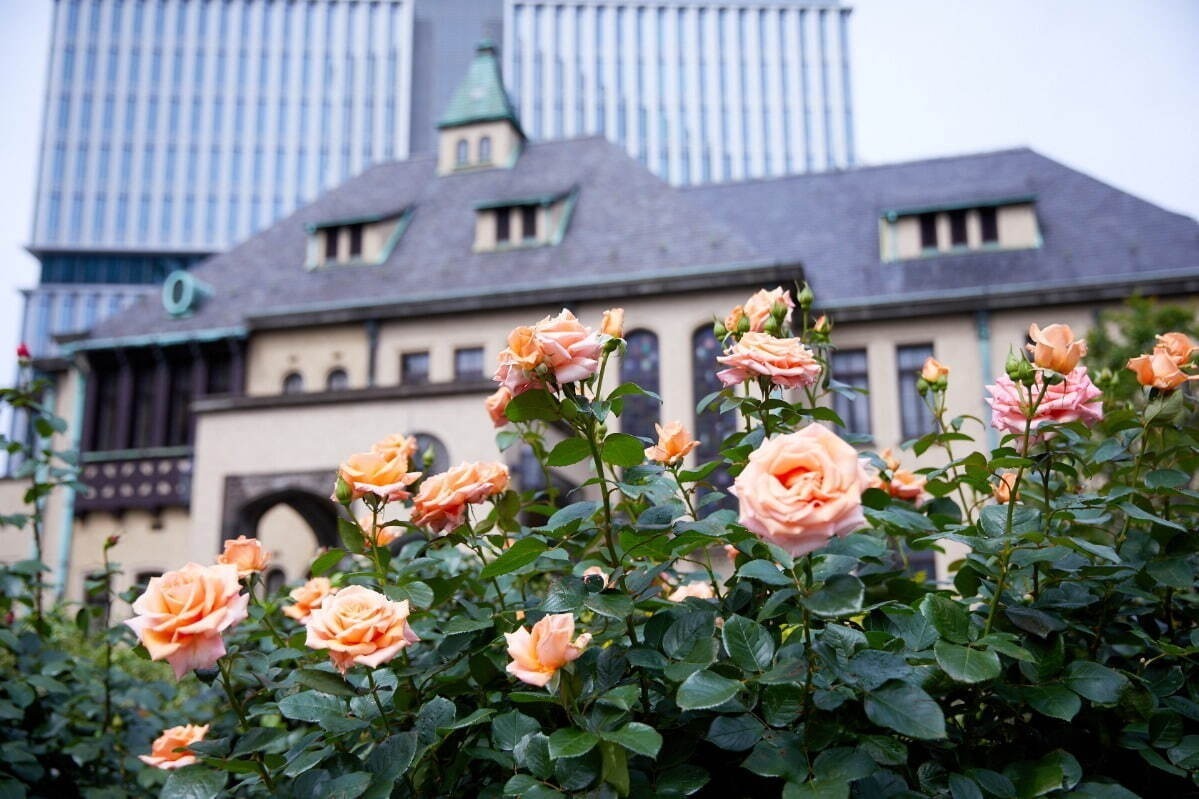 【関東の春イベント2023年】東京・首都圏のおでかけ＆グルメスポット、おすすめお花見イベントも｜写真13