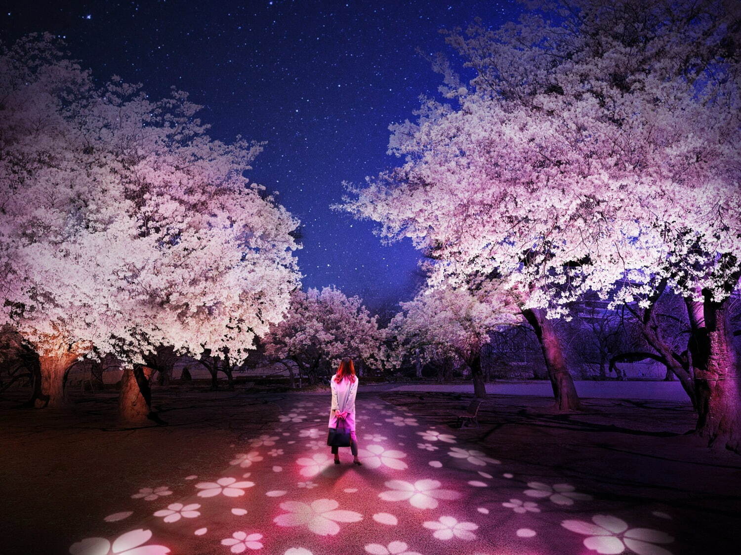 新宿御苑×ネイキッドの“夜桜”ライトアップ、約900本の桜を幻想的な光で彩る｜写真9