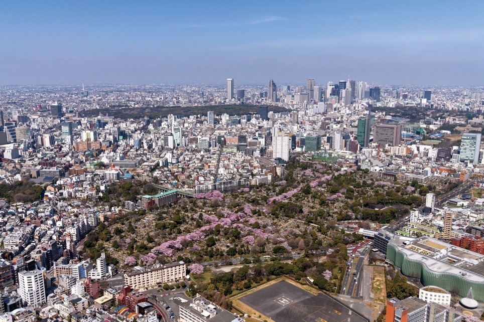 六本木ヒルズ屋上展望台で“天空のお花見”、春イベント「スプリングスカイデッキ 2023」｜写真1