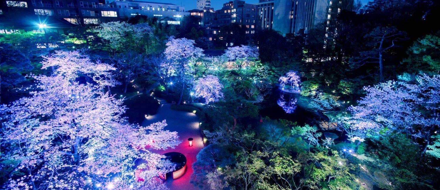 【関東の花見イベント2023】ドライブにもおすすめ！桜名所～公園まで東京＆横浜の花見スポット｜写真7