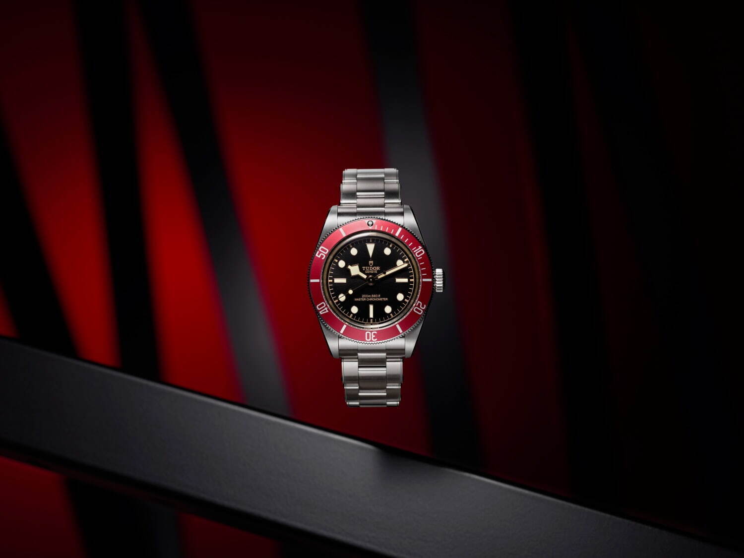 チューダー(TUDOR) ブラックベイ｜写真9