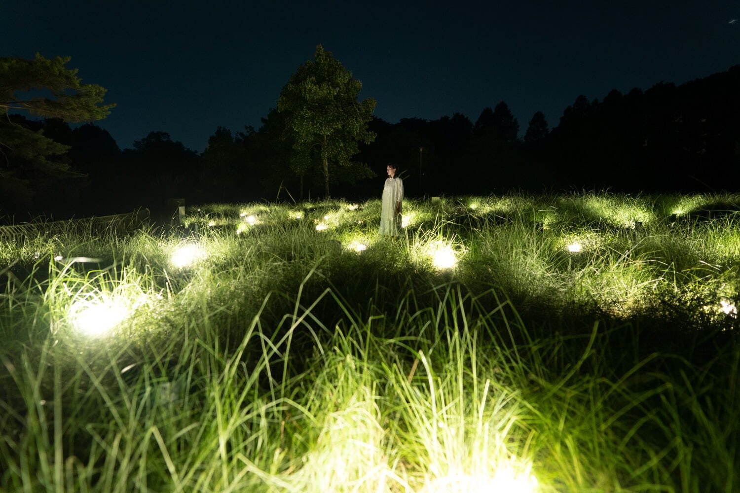 光り輝く一面のネモフィラ「チームラボ ボタニカルガーデン 大阪」長居植物園で、光と音色が伝播｜写真13