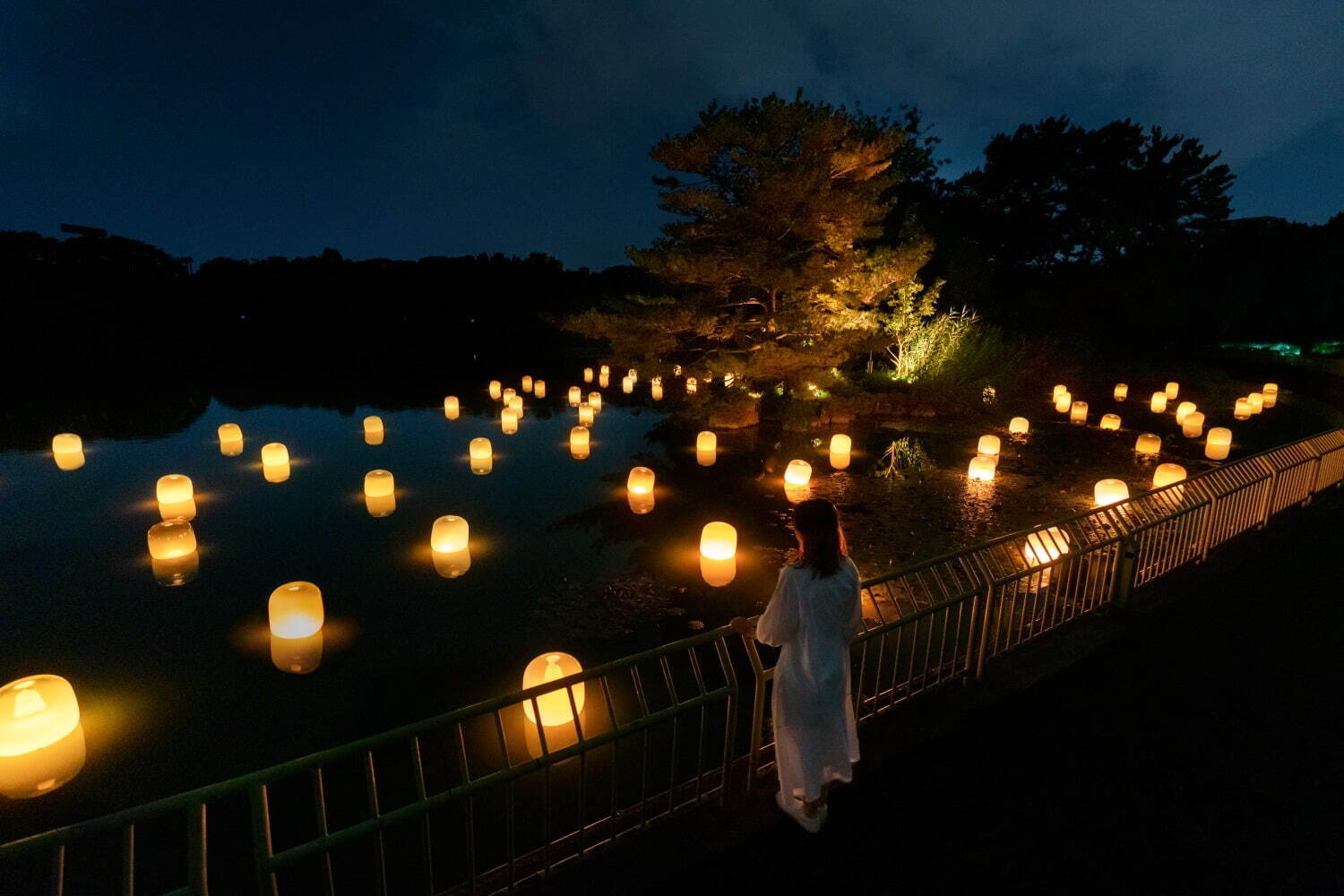 光り輝く一面のネモフィラ「チームラボ ボタニカルガーデン 大阪」長居植物園で、光と音色が伝播｜写真12