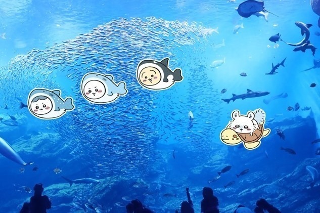 ちいかわ水族館 in 仙台うみの杜水族館」ハチワレやうさぎが水槽