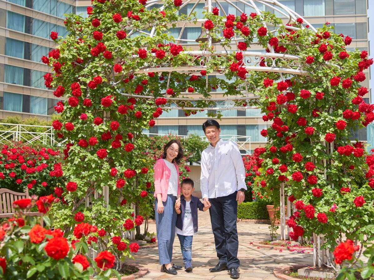 ホテルニューオータニ(東京)「レッドローズガーデン」バラ3万輪が咲く秘密の花園でアフタヌーンティーも｜写真5