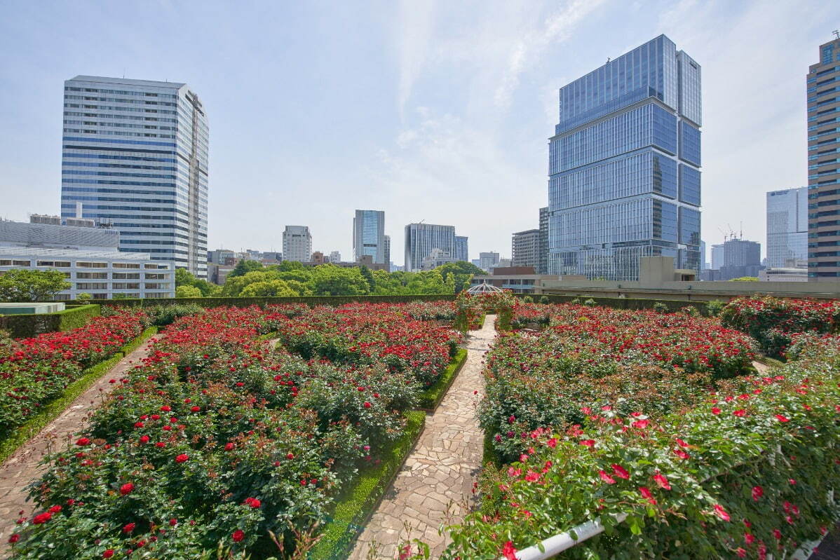 ホテルニューオータニ(東京)「レッドローズガーデン」バラ3万輪が咲く秘密の花園でアフタヌーンティーも｜写真6