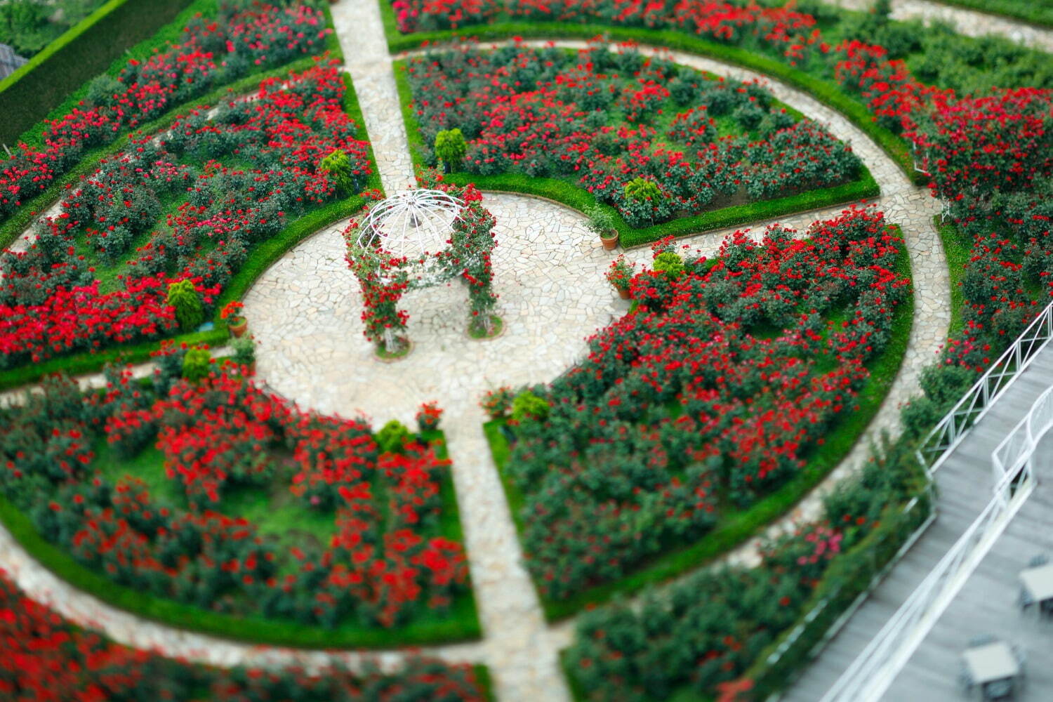 ホテルニューオータニ(東京)「レッドローズガーデン」バラ3万輪が咲く秘密の花園でアフタヌーンティーも｜写真11