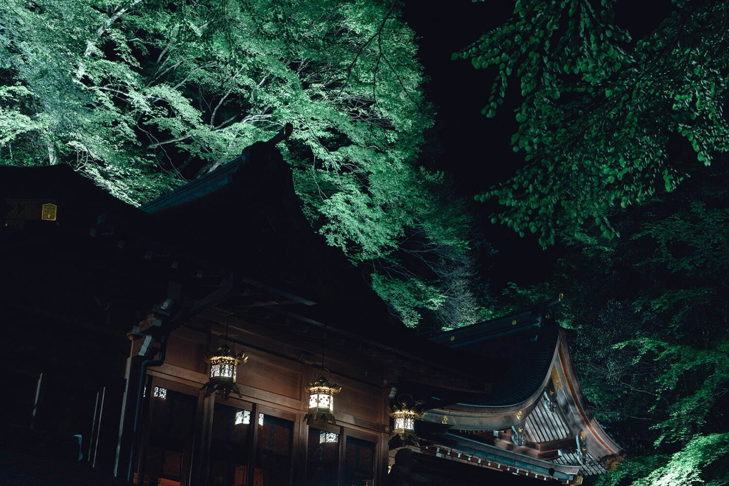 京都「貴船神社」の新緑ライトアップ、3000本の青もみじに包まれる“縁結びの神社”｜写真5