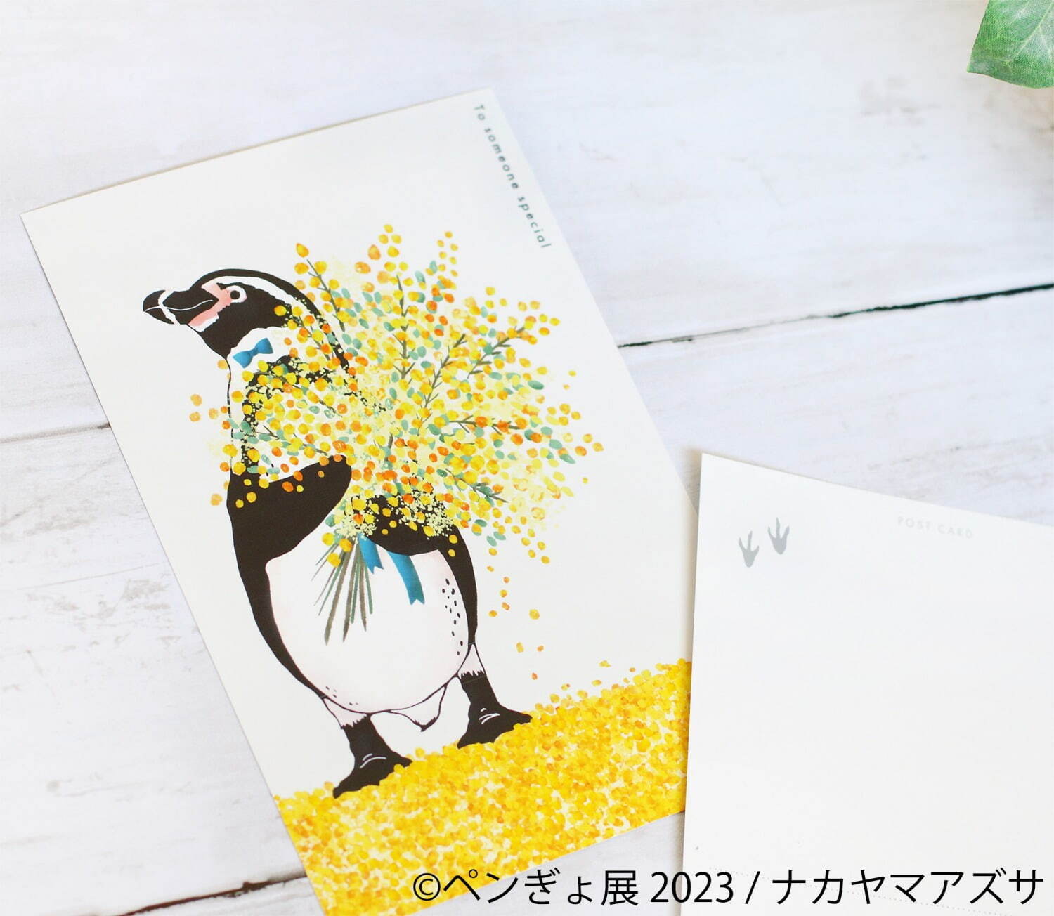 「ぺんぎょ展」“ペンギン×金魚”納涼アートが一堂に会す写真展＆物販展、東京・浅草で｜写真14