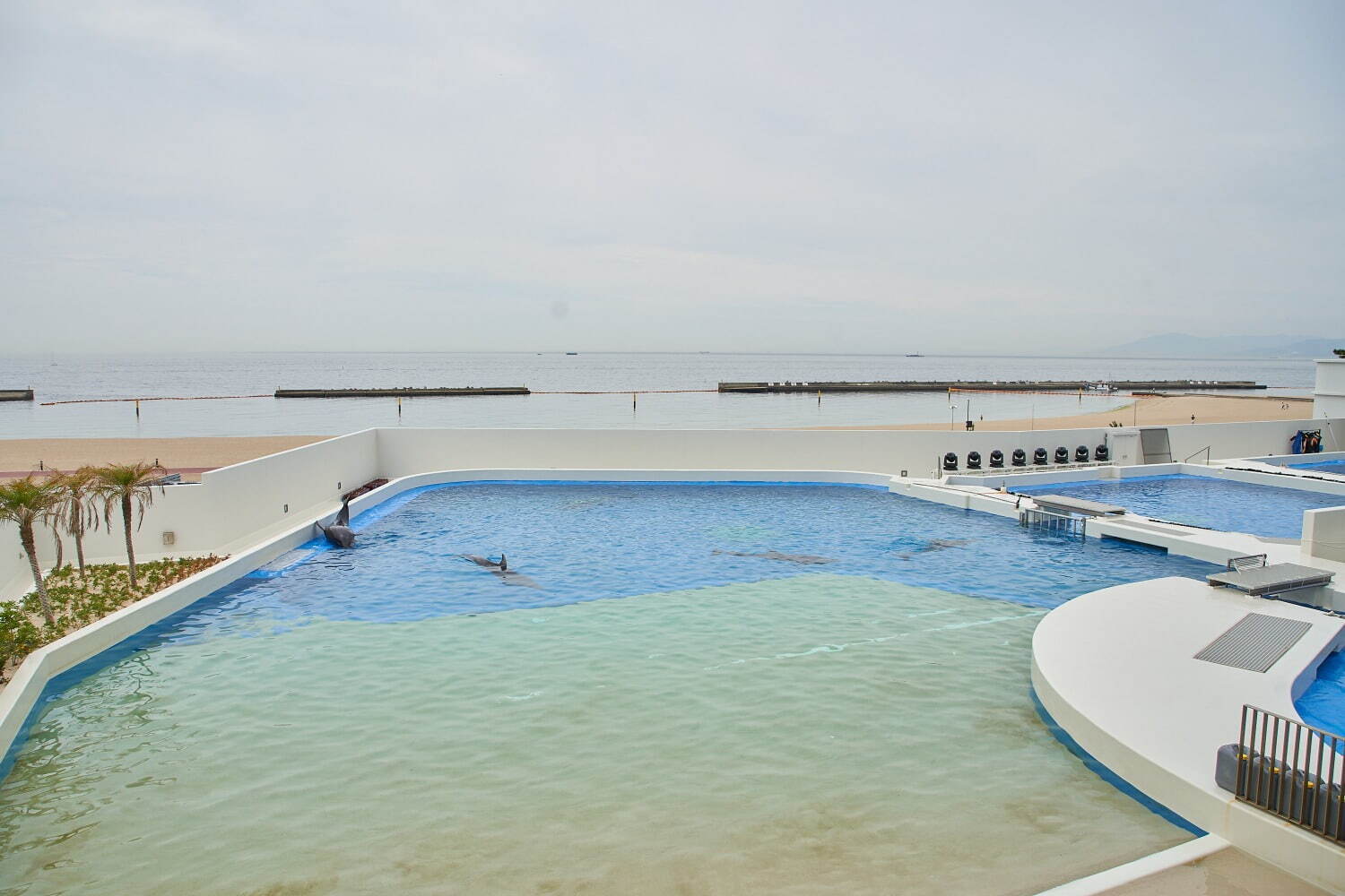 「神戸須磨シーワールド」須磨海浜水族園跡地に開業、西日本唯一のシャチ展示！パフォーマンスや学ぶゾーン｜写真80