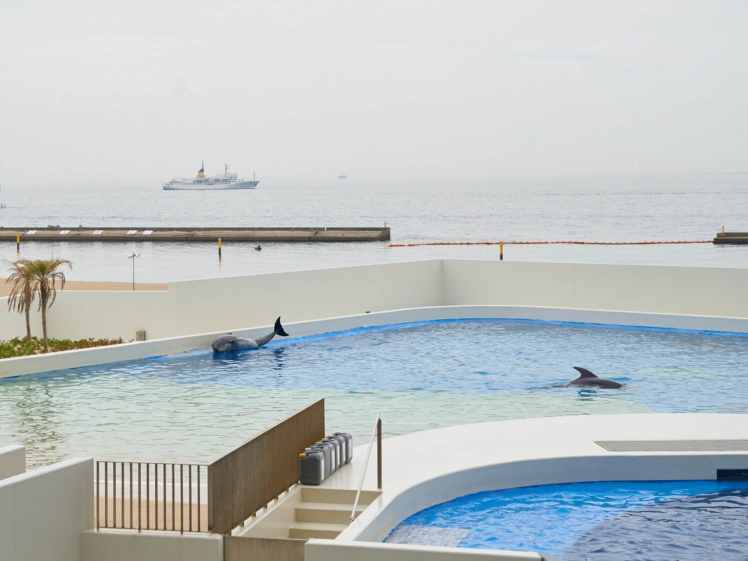 「神戸須磨シーワールド」須磨海浜水族園跡地に開業、西日本唯一のシャチ展示！パフォーマンスや学ぶゾーン｜写真81