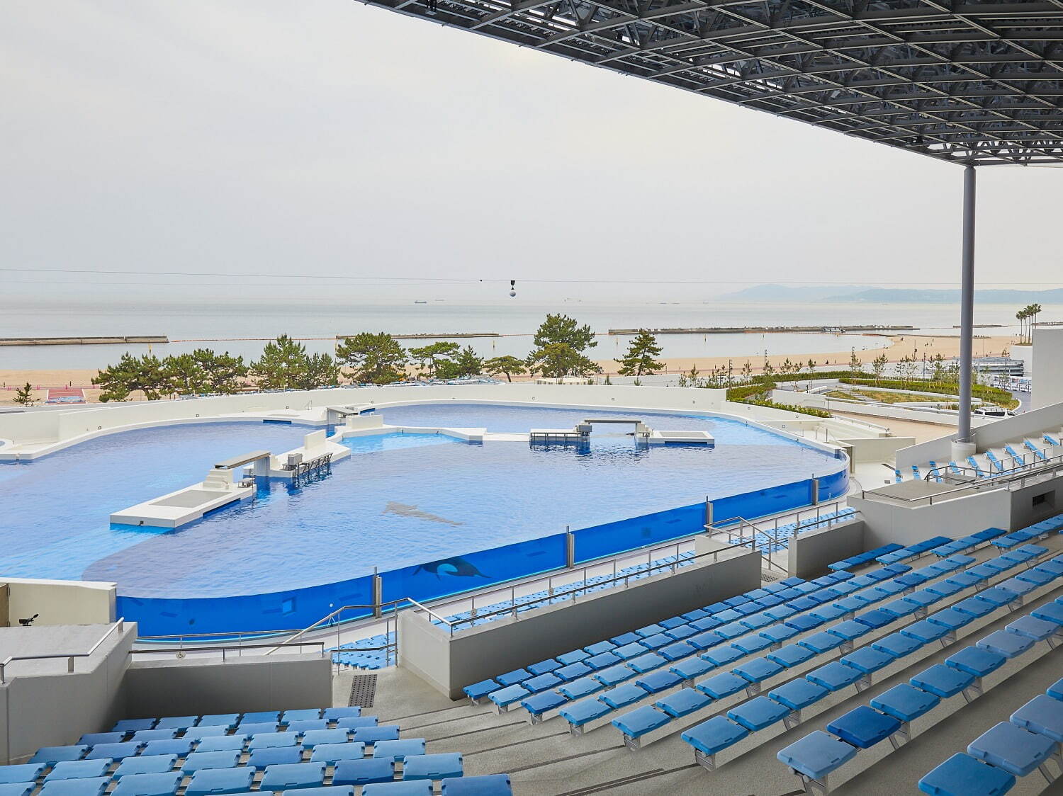 「神戸須磨シーワールド」須磨海浜水族園跡地に開業、西日本唯一のシャチ展示！パフォーマンスや学ぶゾーン｜写真124