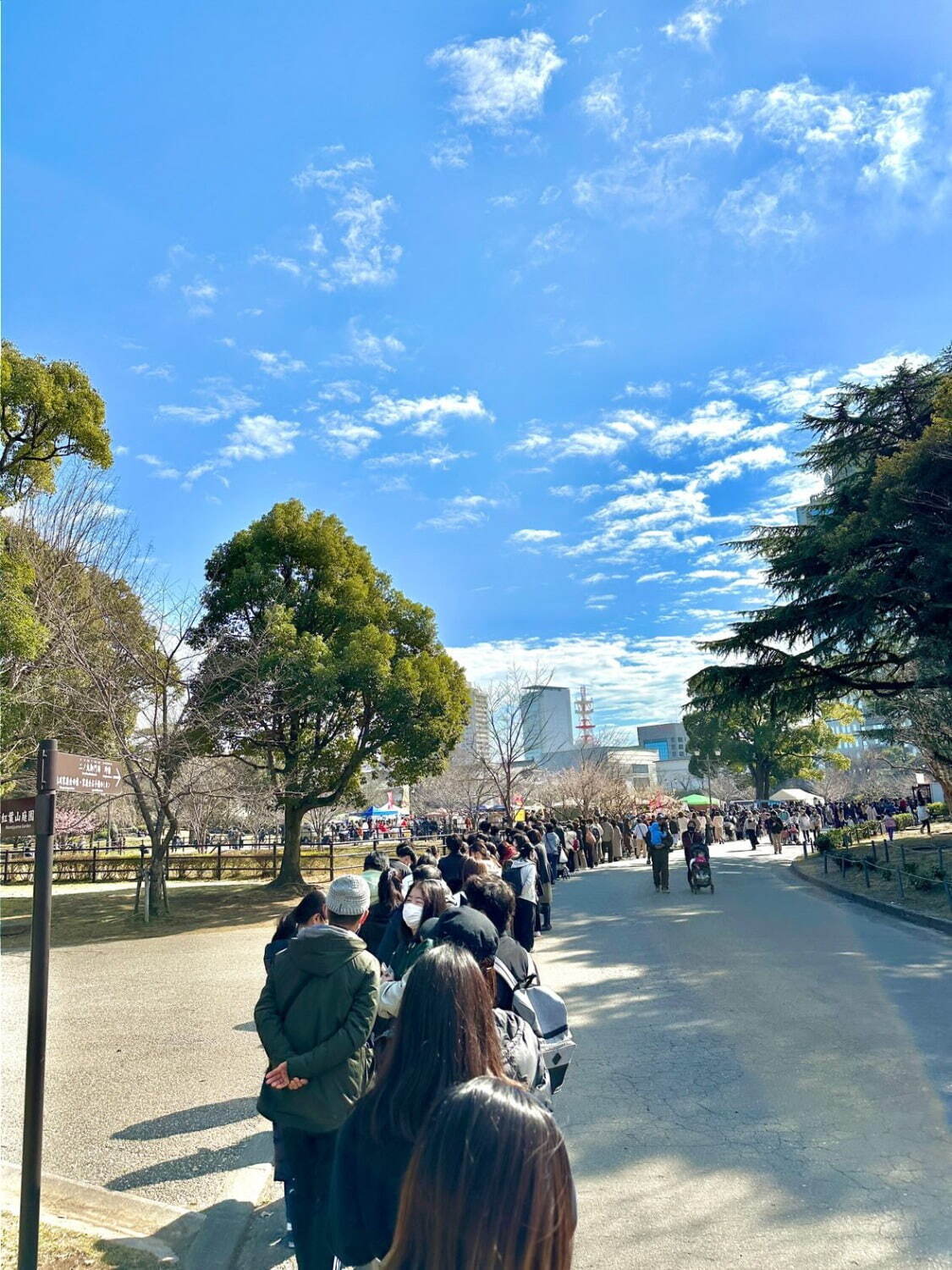 「夏のおいもフェス SHIZUOKA」焼き芋×ひんやりスイーツ全国80店舗以上が静岡・駿府城公園に｜写真9