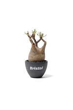 エフシーレアルブリストル×植物ショップ「ラフラム」のロゴ入り植物鉢