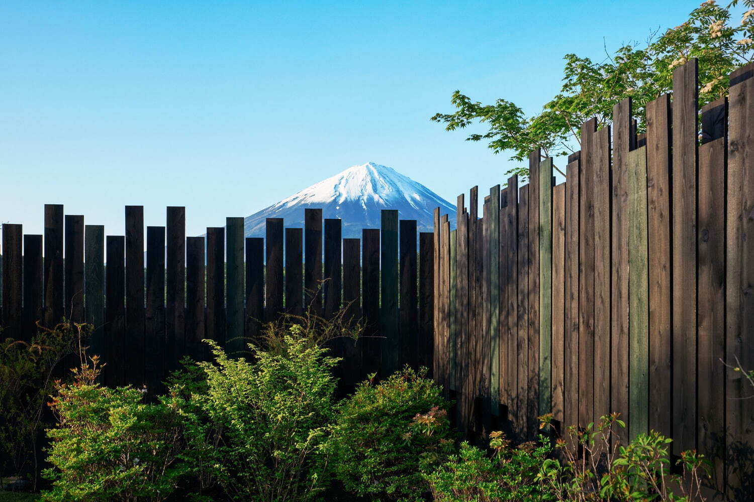 「アブラサス ハウス 富士河口湖」サウナ＆アート風呂完備、富士山を望む1日1組限定別荘ホテル｜写真19