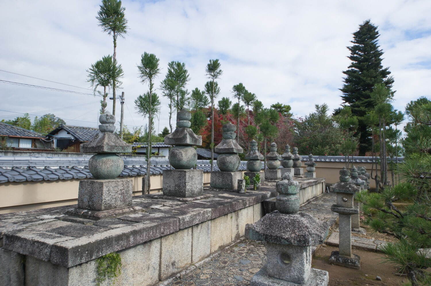 京都の2023年秋季寺院特別公開、大徳寺興臨院などで“紅葉×日本庭園”の絶景｜写真1