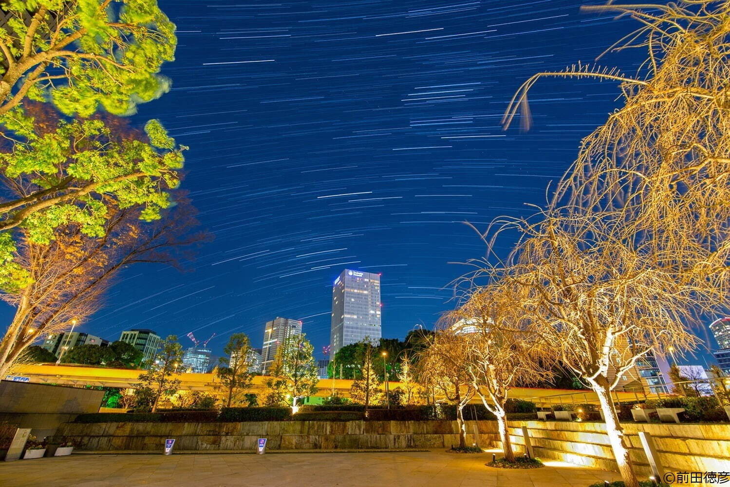 東京ガーデンテラス紀尾井町の星空