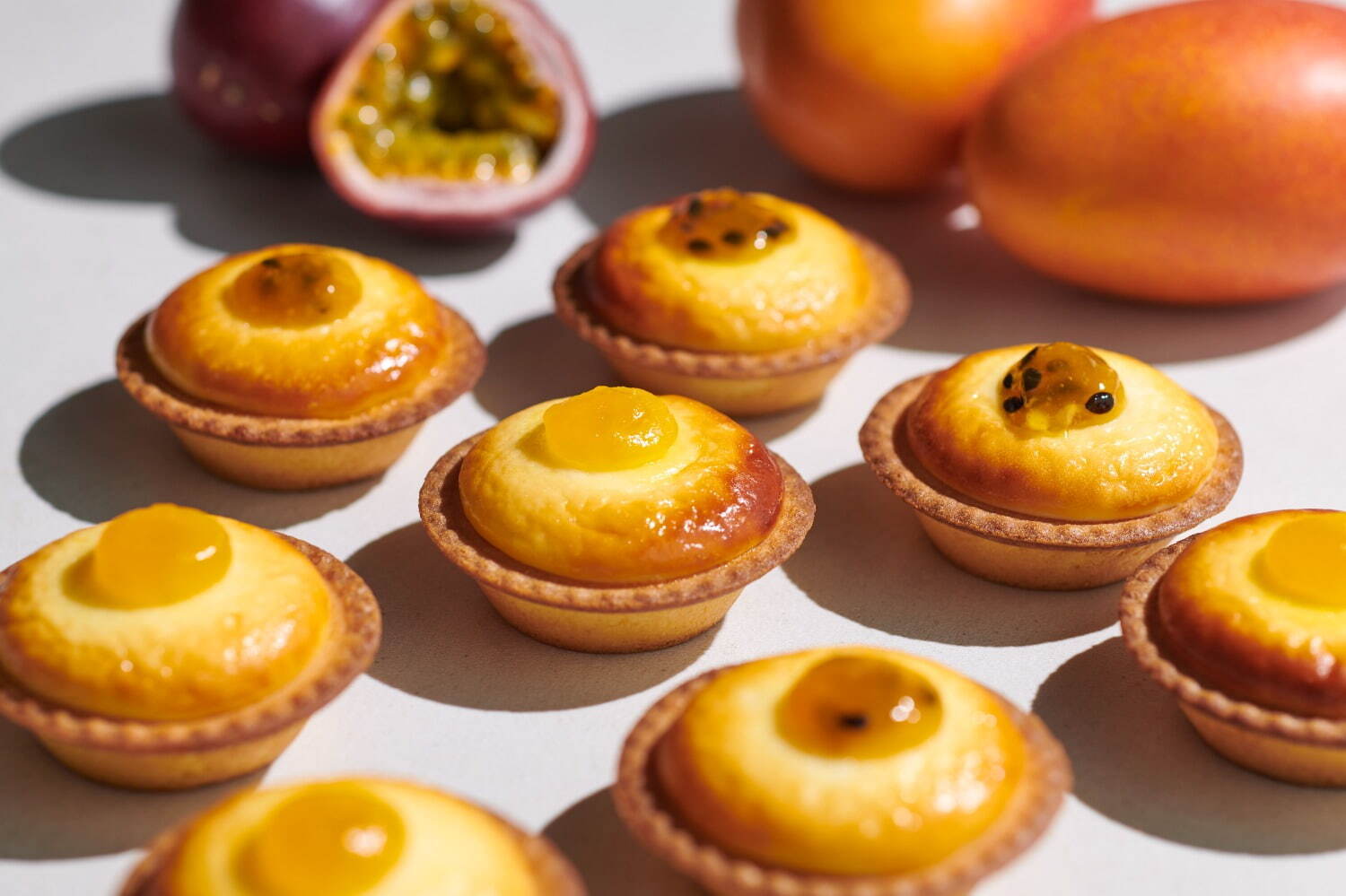 ベイク チーズタルト(BAKE CHEESE TART) ベイク チーズタルト｜写真1