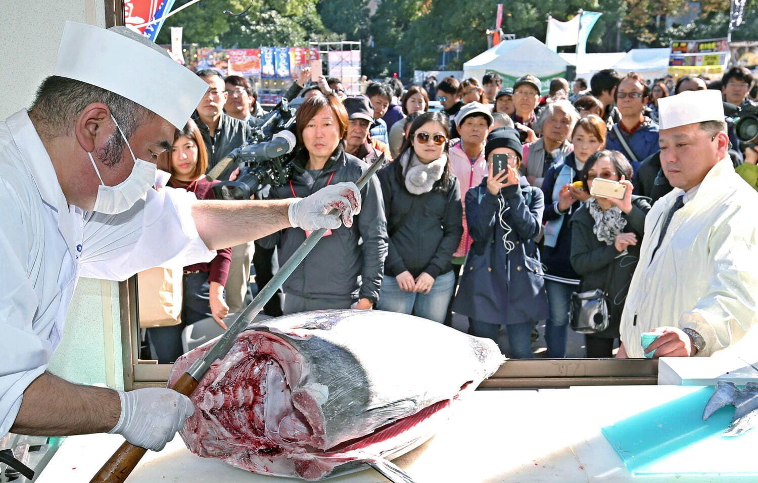 日本最大級“魚介グルメ”フェス「魚ジャパンフェス」お台場で初開催、マグロ丼や漁師飯など海鮮グルメ集結｜写真17