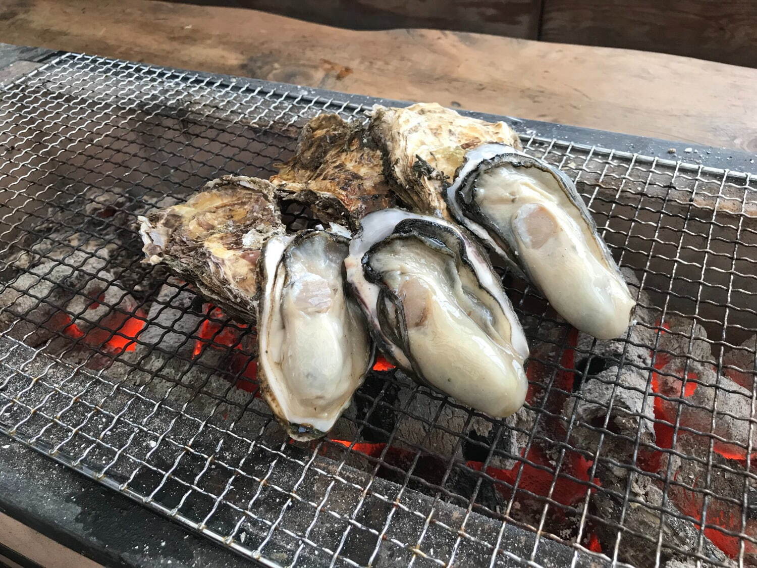 日本最大級“魚介グルメ”フェス「魚ジャパンフェス」お台場で初開催、マグロ丼や漁師飯など海鮮グルメ集結｜写真10