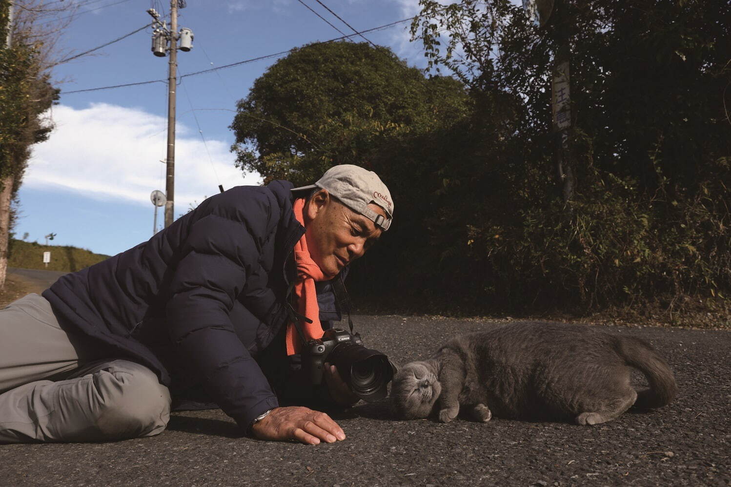 「写真展 岩合光昭の日本ねこ歩き」阪急うめだ本店で、国内各地の“ねこ写真”新作多数｜写真2