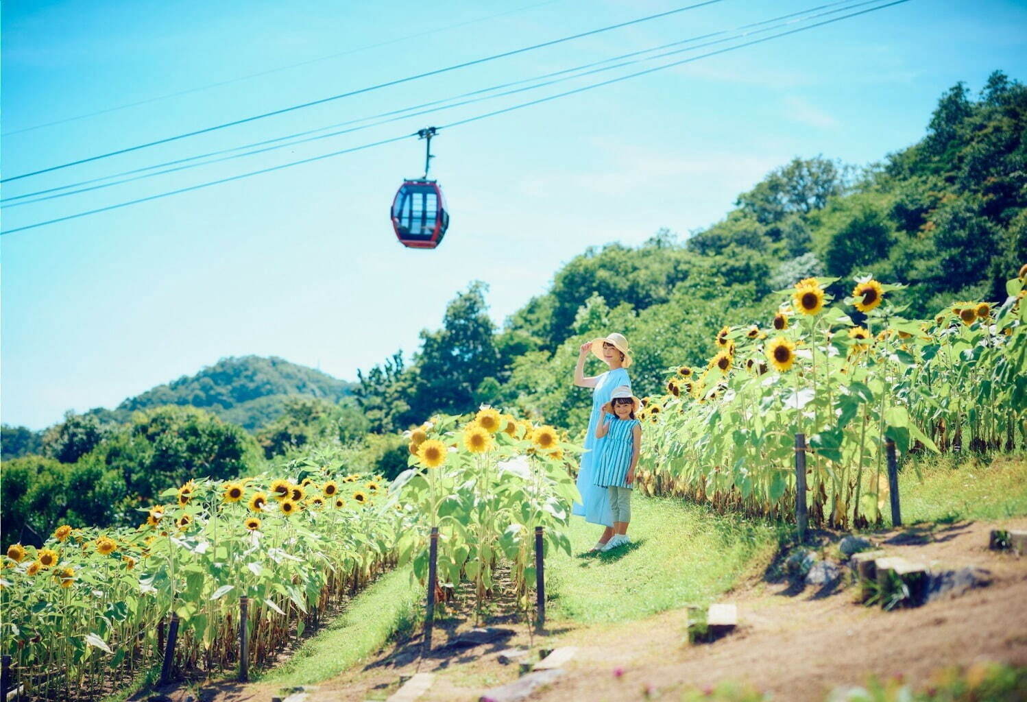 神戸布引ハーブ園の“絶景”ビアガーデン、神戸の夜景と楽しむカクテル＆ドイツビールや絶品グルメ｜写真7