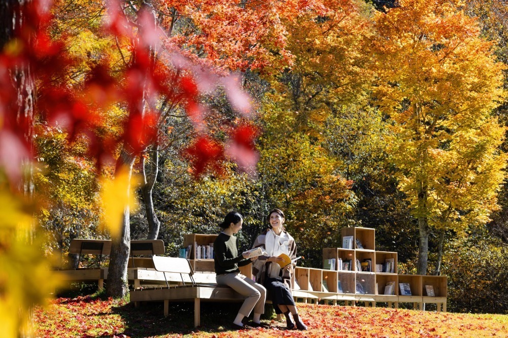 紅葉の中で読書を満喫する「紅葉図書館」軽井沢星野エリアで、どら焼きやりんごドリンクも｜写真5