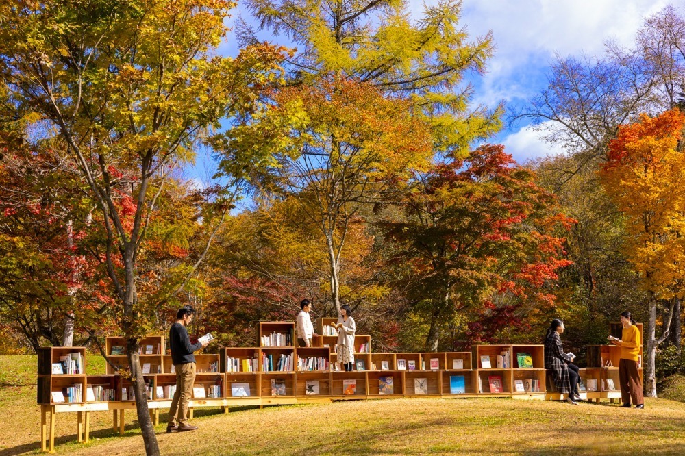 紅葉の中で読書を満喫する「紅葉図書館」軽井沢星野エリアで、どら焼きやりんごドリンクも｜写真2