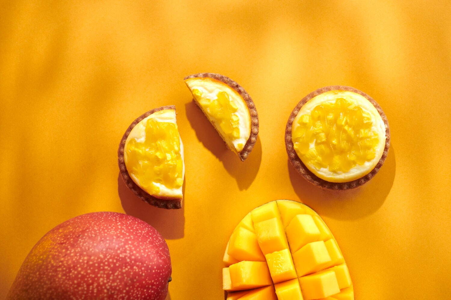 ベイク チーズタルト(BAKE CHEESE TART) 果実のチーズタルト｜写真8