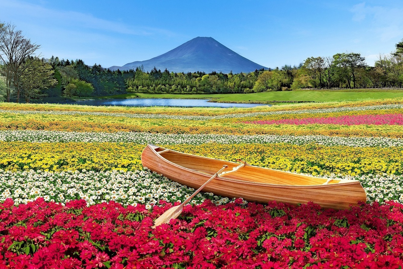 富士本栖リゾート「2023虹の花まつり」約9万株のカラフルな秋の花々を富士山と共に、フォトスポットも - ファッションプレス